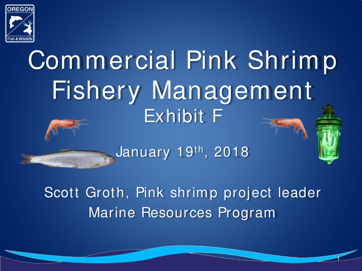 commercial pink shrimp fishery management