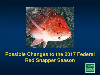 Red Snapper Season  Background  Recent discussions between the Department of  Commerce and the