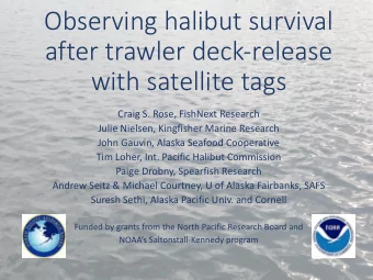 Observing halibut survival  after trawler deck-release  with satellite tags  Craig S. Rose,
