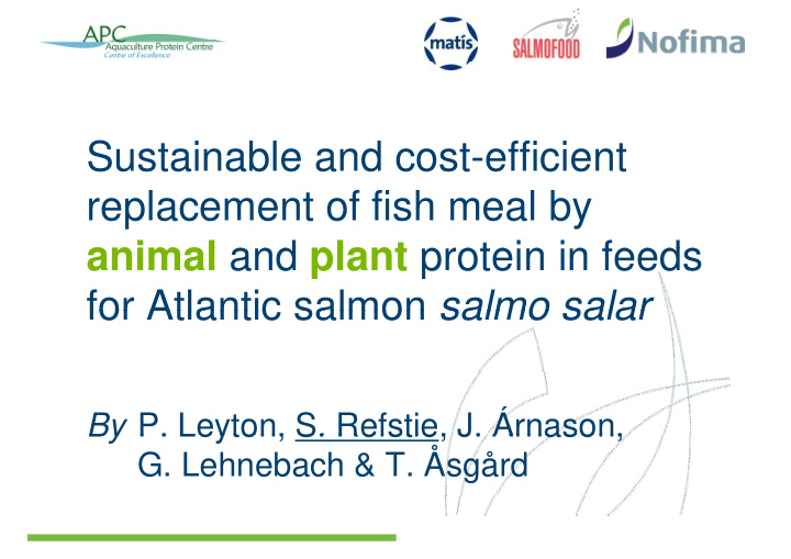 sustainable and cost efficient replacement of fish meal