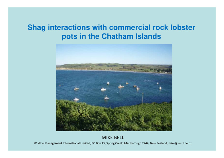 shag interactions with commercial rock lobster pots in