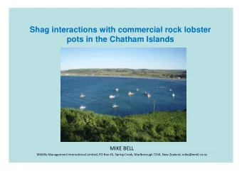 Shag interactions with commercial rock lobster  pots in the Chatham Islands MIKE BELL Wildlife