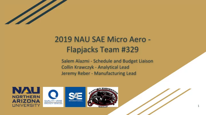 2019 nau sae micro aero