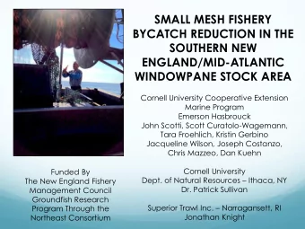 SMALL MESH FISHERY  BYCATCH REDUCTION IN THE  SOUTHERN NEW  ENGLAND/MID-ATLANTIC WINDOWPANE STOCK