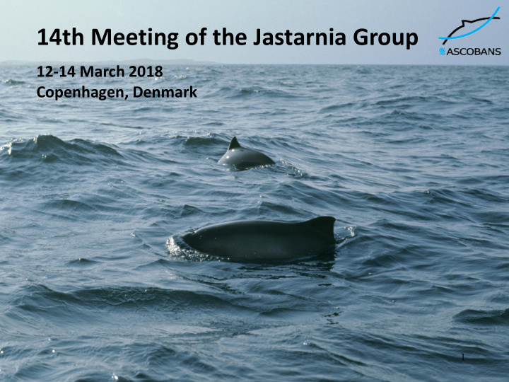 14th meeting of the jastarnia group