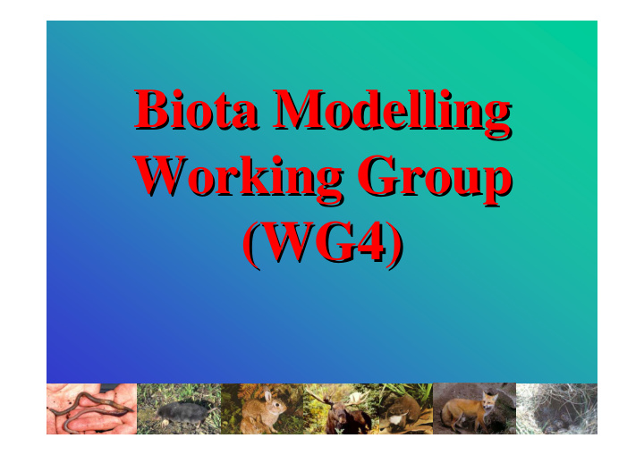 biota modelling biota modelling working group working