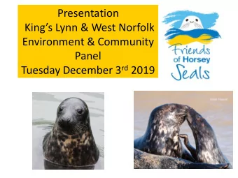 Presentation Kings Lynn &amp; West Norfolk  Environment &amp; Community  Panel Tuesday December