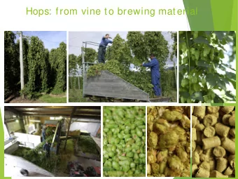 Hops: from vine to brewing material  History of Hop Breeding in New Zealand  Introduced to NZ
