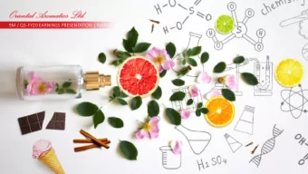 9M / Q3-FY20 EARNINGS PRESENTATION | February 2020  Executive Summary  Overview    Fragrance and