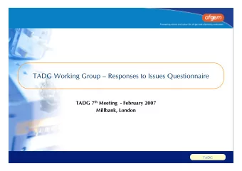TADG Working Group  Responses to Issues Questionnaire TADG 7 th Meeting  - February 2007