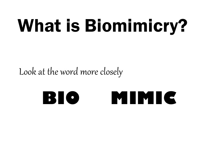 what is biomimicry