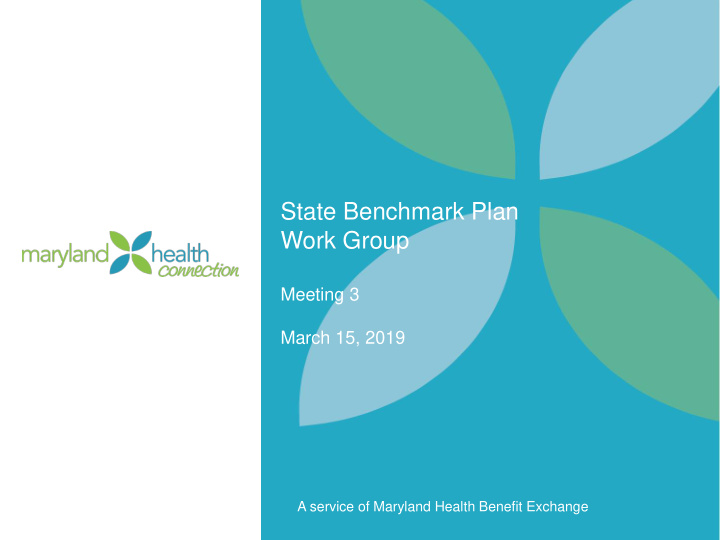 state benchmark plan work group