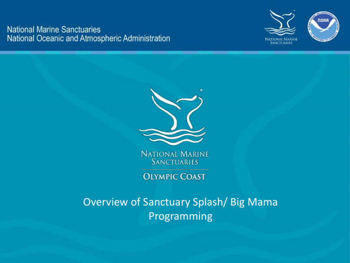 overview of sanctuary splash big mama programming