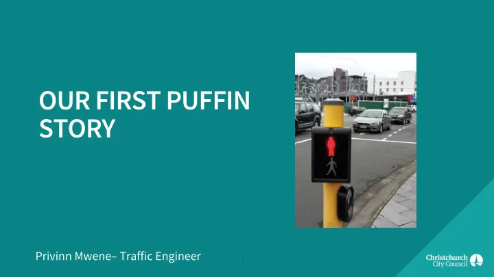 our first puffin