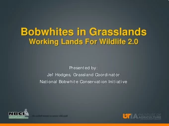 Bobwhites in Grasslands  Working Lands For Wildlife 2.0  Presented by:  Jef Hodges, Grassland