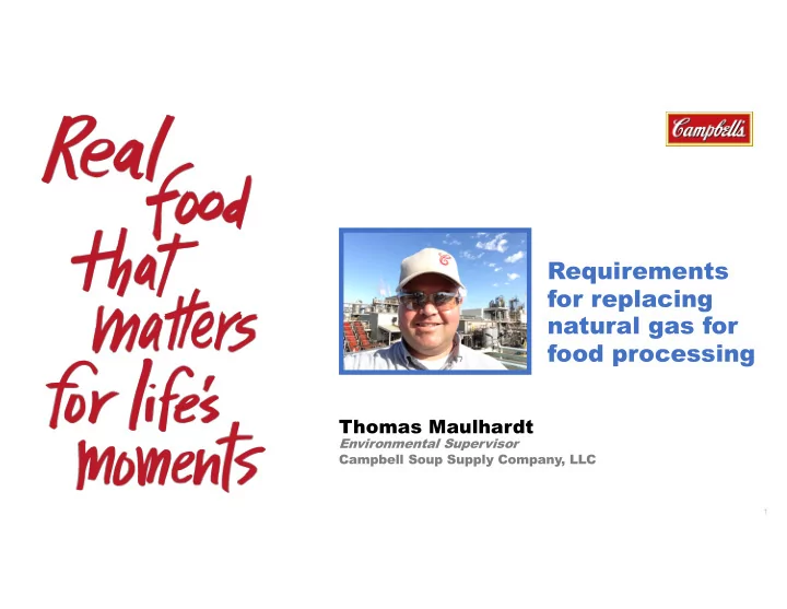 requirements for replacing natural gas for food processing
