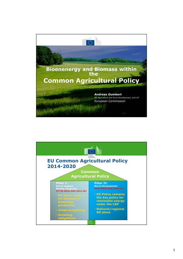 common agricultural policy