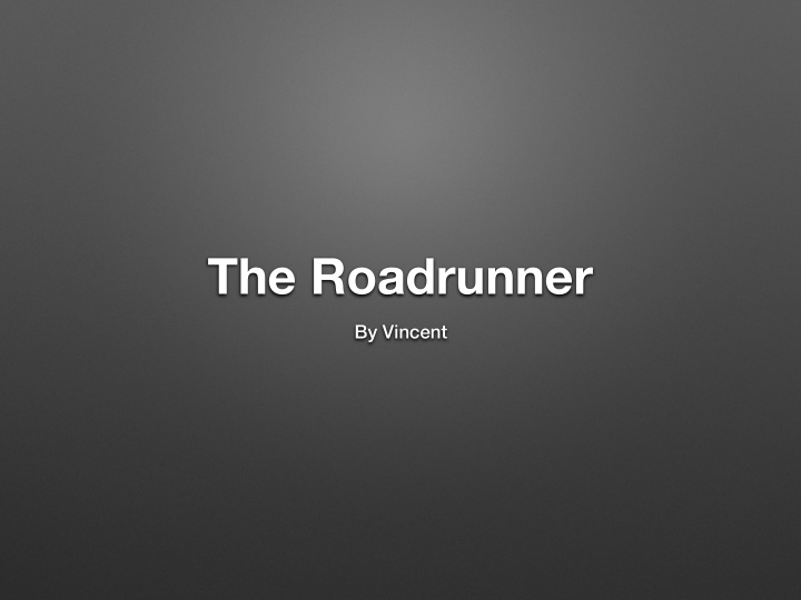 the roadrunner