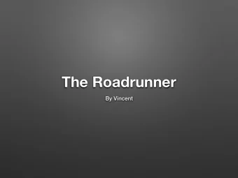 The Roadrunner  By Vincent  The Roadrunner  By Vincent  Introduction  This animal report is