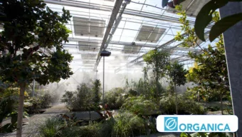 Who is Organica Water?  Interior of an Organica biological reactor area  Organica Water is a