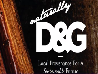 Naturally D&amp;G  Vision, Values and Aims  Vision  To build and maintain future economic growth by