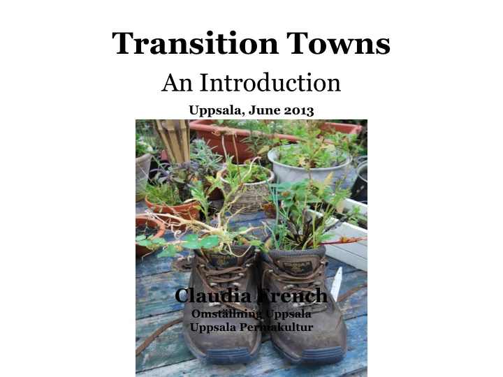transition towns