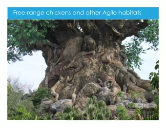 Free-range chickens and other Agile habitats  Airing out the laundry  Ride the Pendulum