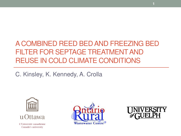 a combined reed bed and freezing bed filter for septage