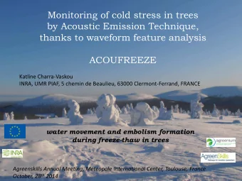 Monitoring of cold stress in trees  by Acoustic Emission Technique,  thanks to waveform feature