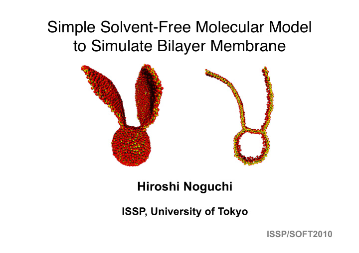 simple solvent free molecular model to simulate bilayer