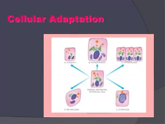 Cellular Adaptation  The very best way for most minds to  remember, or identify, or understand a