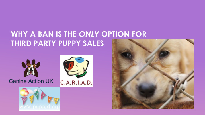 third party puppy sales