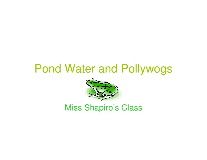 pond water and pollywogs