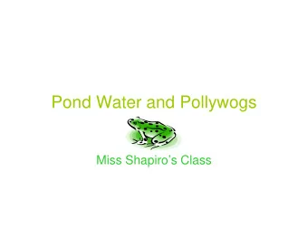 Pond Water and Pollywogs  Miss Shapiros Class  Our Frog Project   We are raising frog eggs so