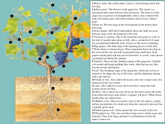 1 Bud or node: Out of this either a leaf or a fruit-bearing shoot will 1 Bud or node: Out of this
