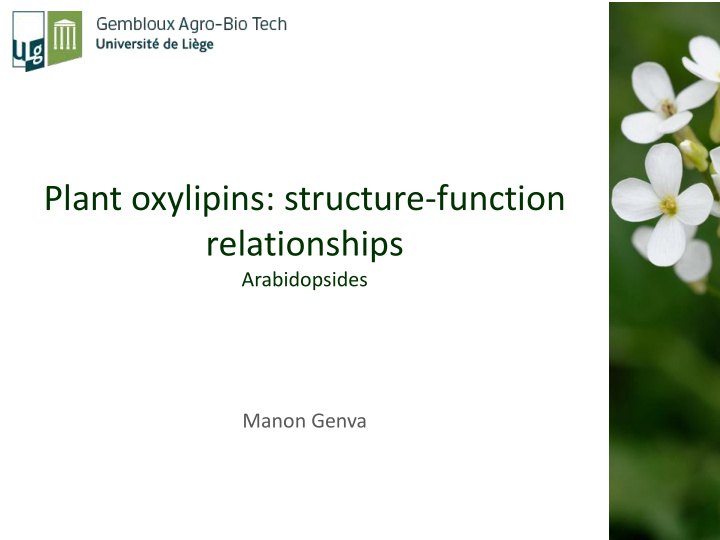 plant oxylipins structure function relationships