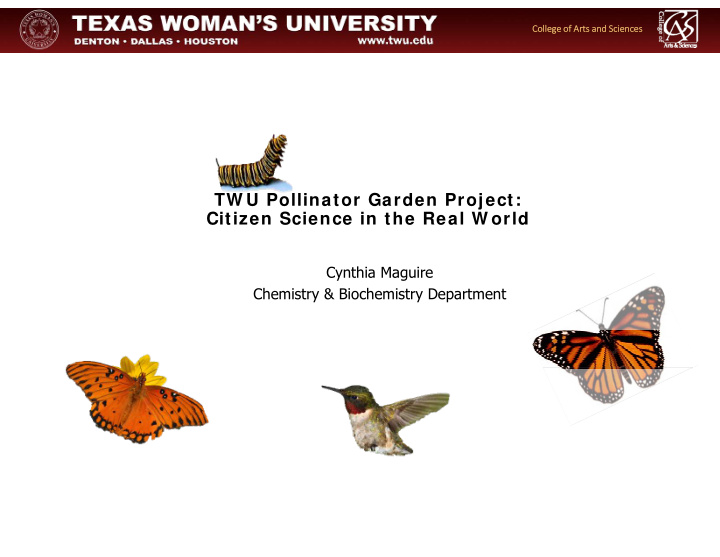 tw u pollinator garden project citizen science in the