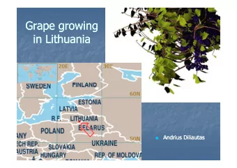 Grape growing  Grape growing  in Lithuania  in Lithuania  Andrius Diliautas  Andrius Diliautas