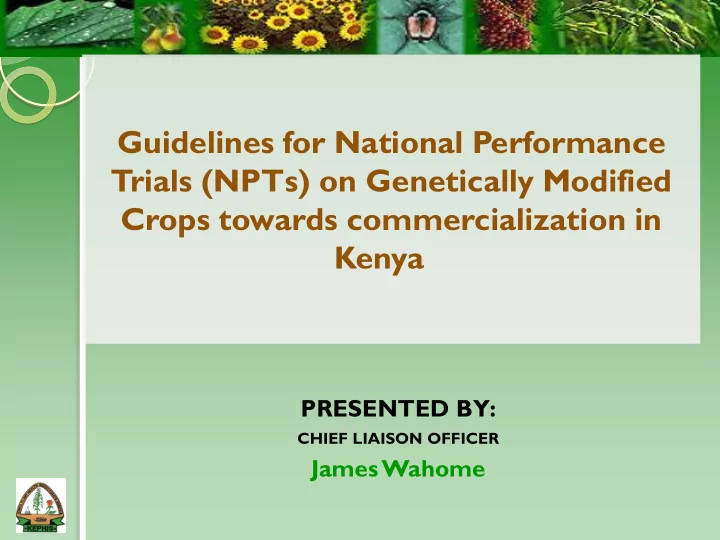 guidelines for national performance