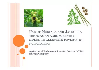 U SE OF M ORINGA AND J ATROPHA TREES AS AN AGROFORESTRY MODEL TO ALLEVIATE POVERTY IN RURAL AREAS