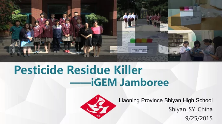 pesticide residue killer