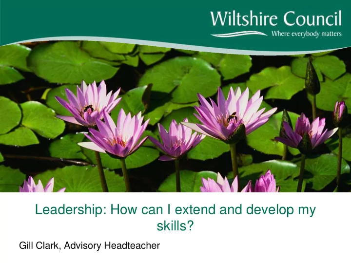leadership how can i extend and develop my skills