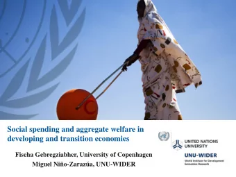 Social spending and aggregate welfare in  developing and transition economies  Fiseha