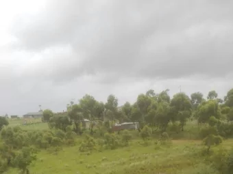 SOUTH AFRICAN AGRICULTURE  BIG CHANGES IN NEXT DECADE  LARGE NUMBERS OF RESOURCE POOR GROWERS