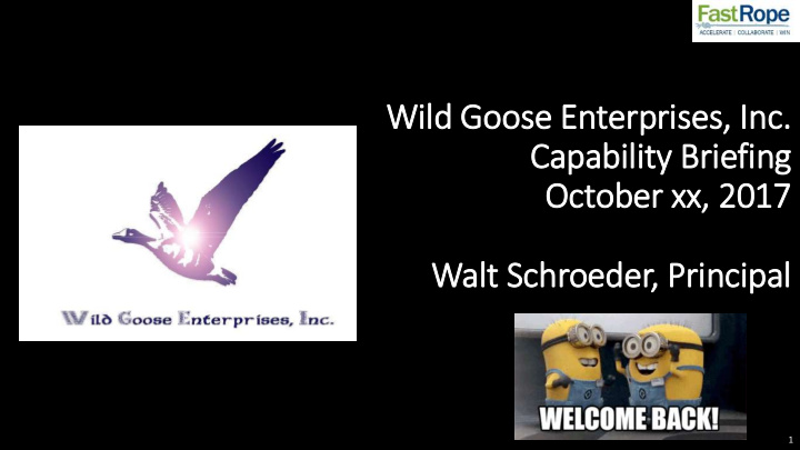 wild goose enterprises in inc