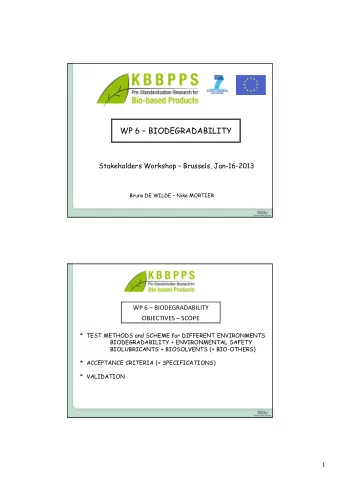WP 6  BIODEGRADABILITY  Stakeholders Workshop  Brussels, Jan-16-2013  Bruno DE WILDE  Nike