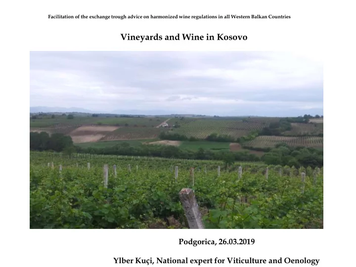 vineyards and wine in kosovo