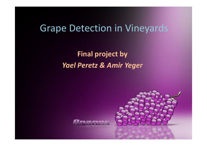 grape detection in vineyards