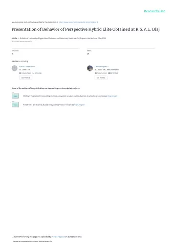 Presentation of Behavior of Perspective Hybrid Elite Obtained at R.S.V.E. Blaj Article in Bulletin