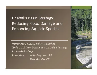 Chehalis Basin Strategy: Reducing Flood Damage and Enhancing Aquatic Species November 13, 2013